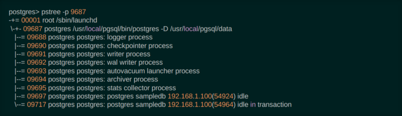 PostgreSQL sunucusu işlemleri